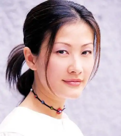 陈慧珊个人资料,陈慧珊在流金岁月中扮演谁,本文共(17385字)