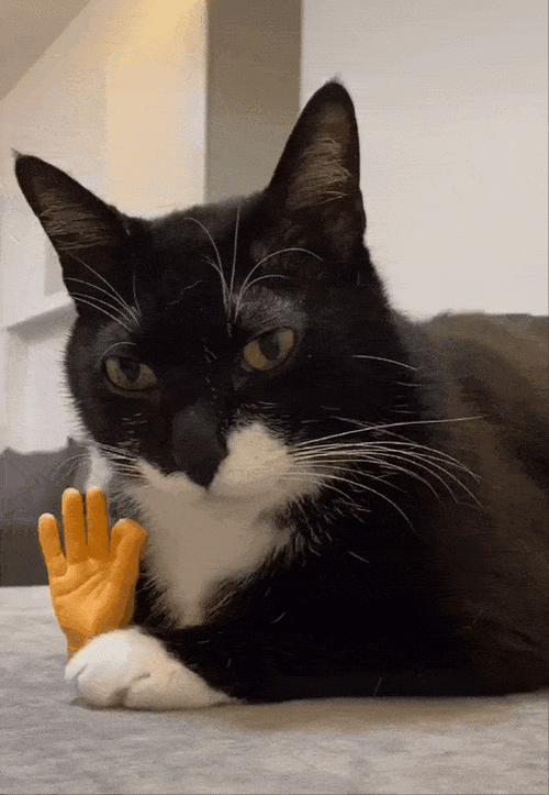 537_776竖版 竖屏gif 动态图 动图