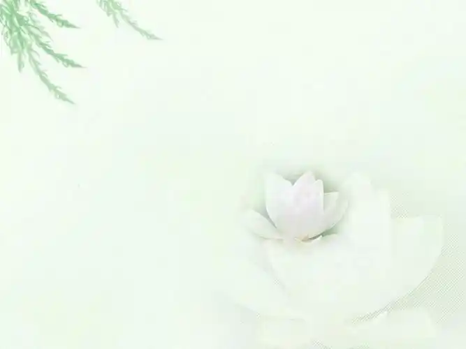 淡雅ppt荷花背景