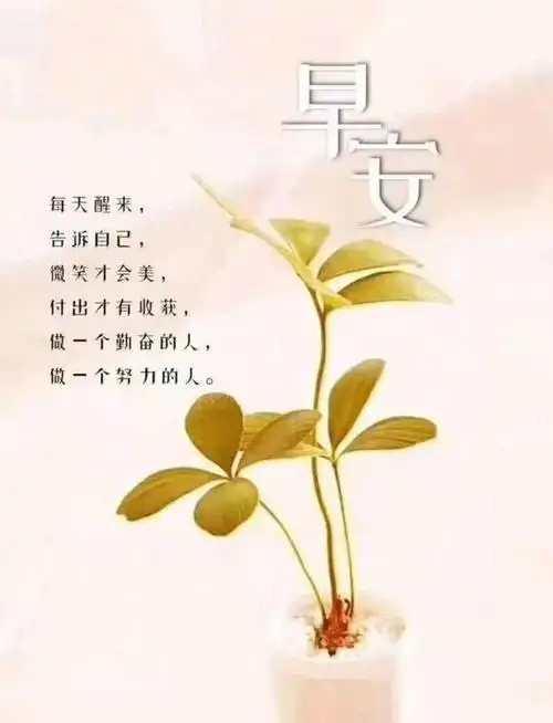 每日一句正能量早安短句(每天一句正能量励志经典语录)