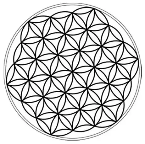 什么是生命之花