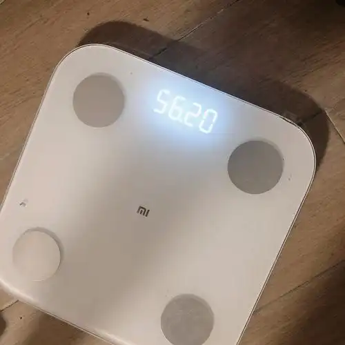 三周体重记录562kg