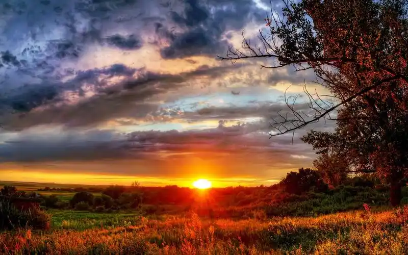 日落,太阳,自然,树木,云 壁纸 - 1680x1050