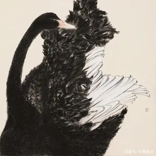 女画家一幅黑天鹅工笔画却水墨淋漓新颖别致