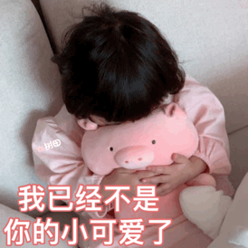 我已经不是你的小可爱了(罗熙表情包)