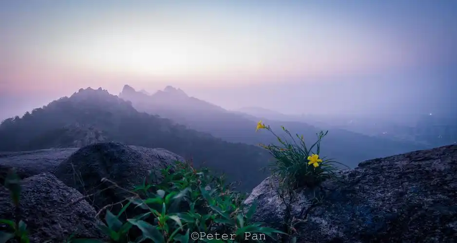 的这株忘忧草的相遇绝对算是个惊喜,她很好的诠释了什么叫耐得住寂寞