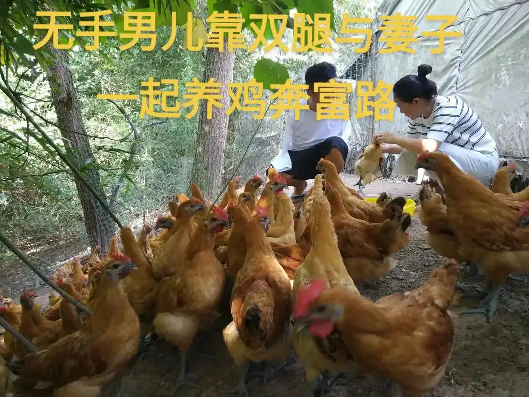 只有照片能记录这份珍贵 ,好男儿靠双腿与妻子养鸡奔富路. - 抖音