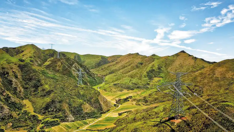 建设绿色电网赋能美丽中国