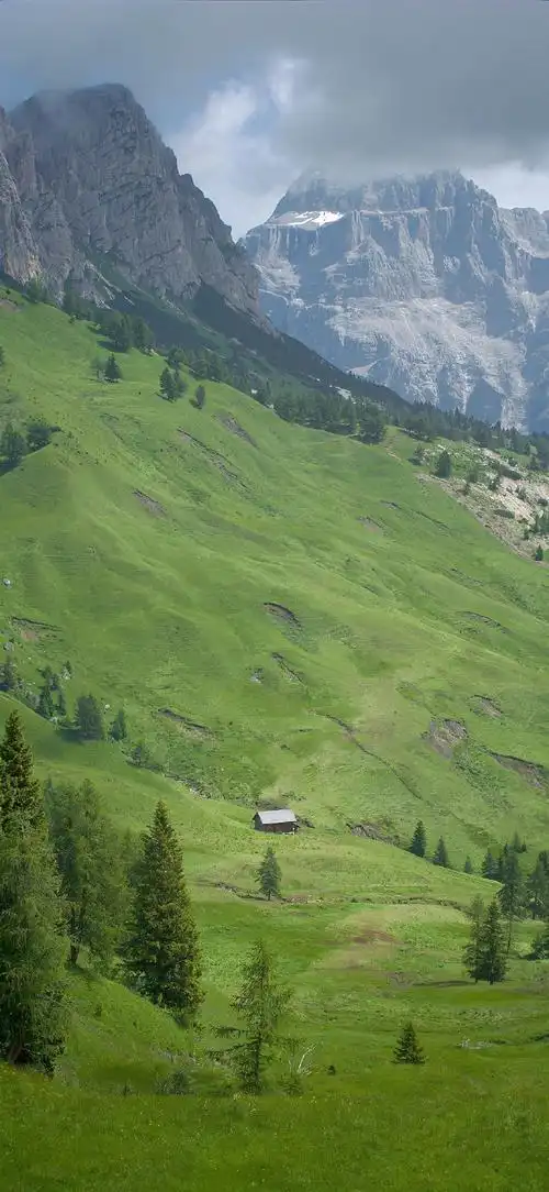 分享一组绿色护眼壁纸#治愈系##无水印壁纸##手机壁纸##分享图片