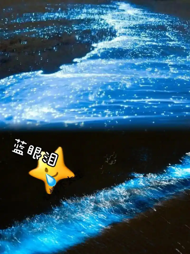 平谭岛蓝眼泪.最近几乎全国的旅游达人都在聊"蓝眼泪91",这 - 抖音