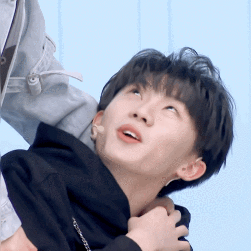 收藏猪猪包 多图预警 来看敲可爱的马嘉祺净化心灵