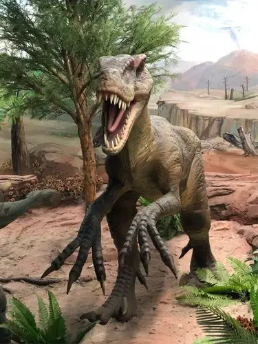 恐爪龙,三只尖尖长长的爪子,看起来就很会打架