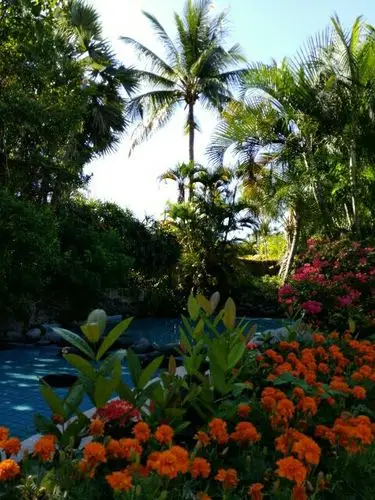 水花树色天天际