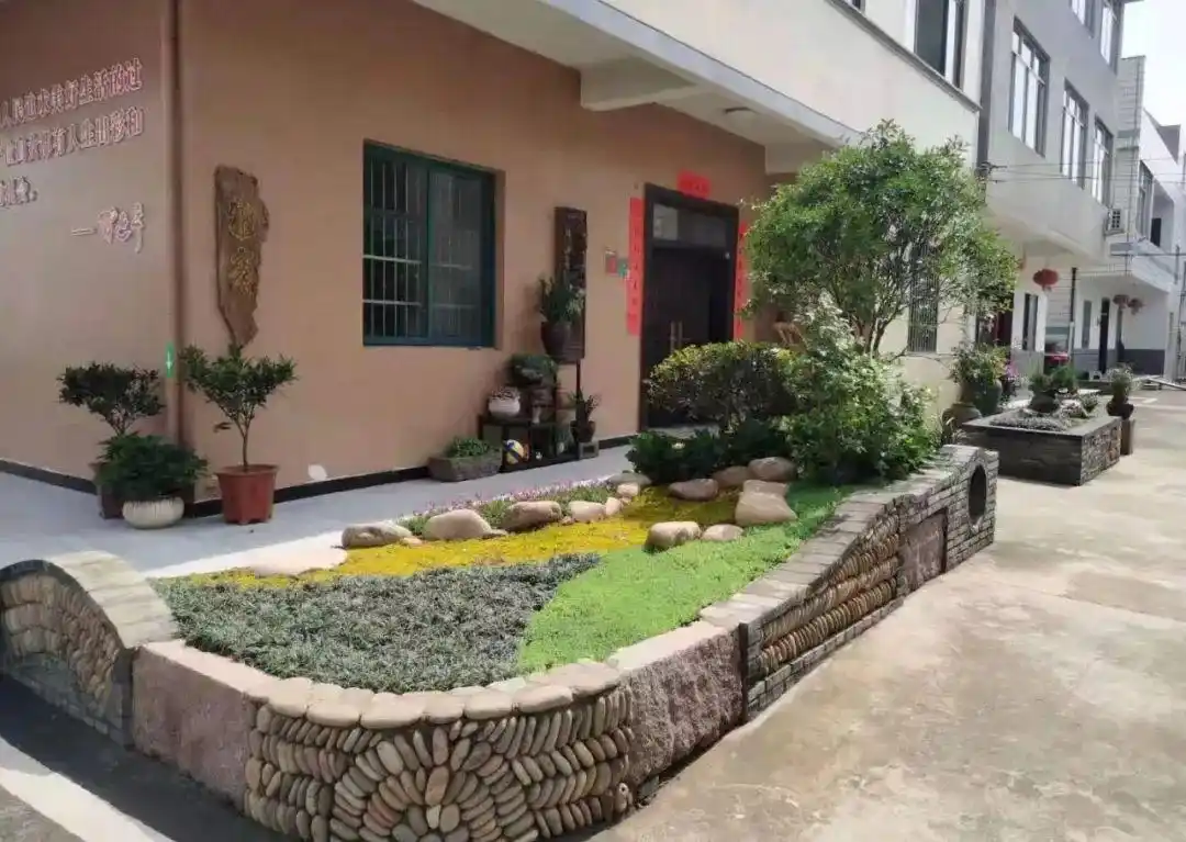 巾帼助力乡村振兴 美丽庭院创建先行