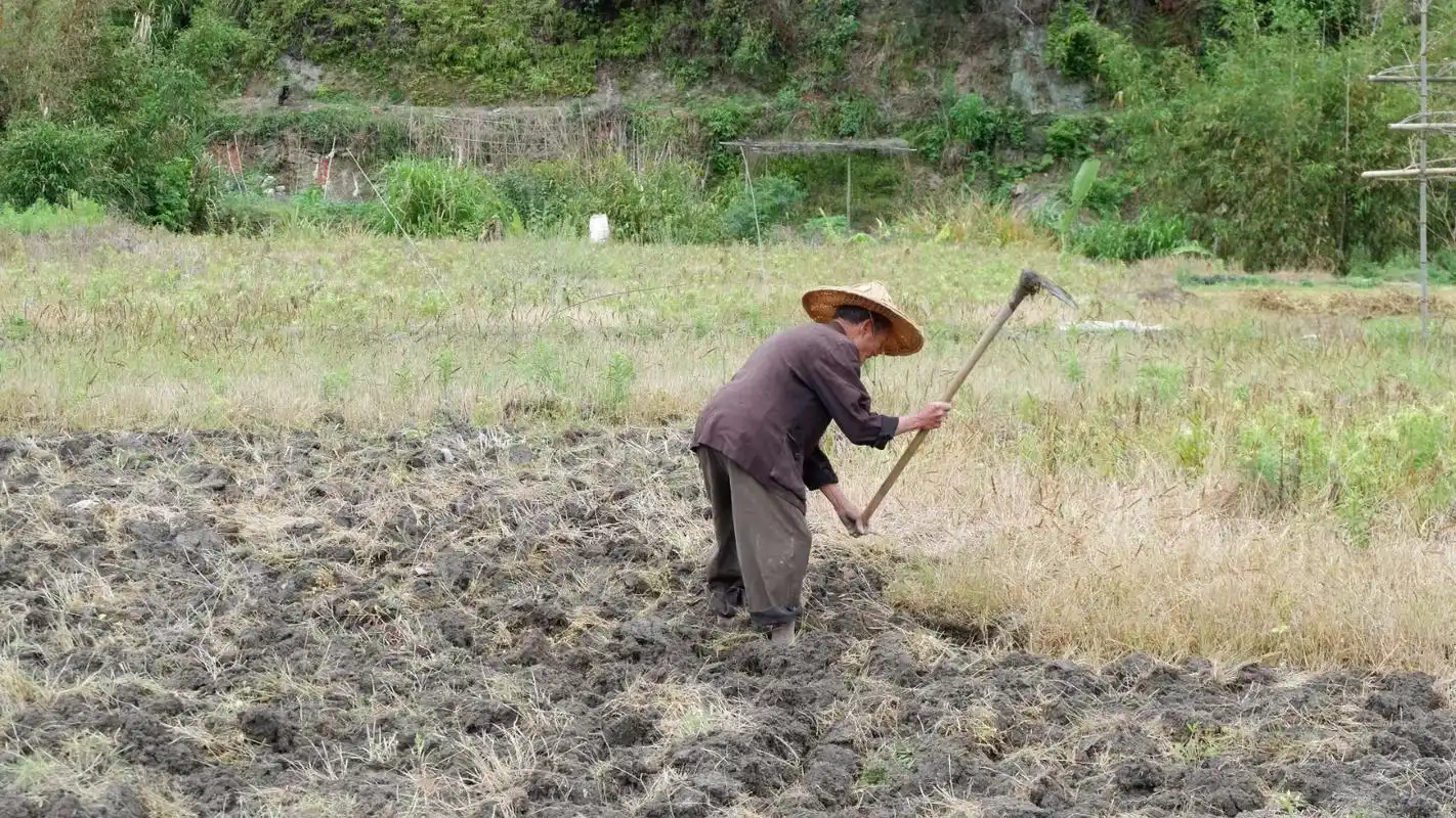 农村86岁老人干活比90后小伙麻利 这幅好身体是怎么练出来的