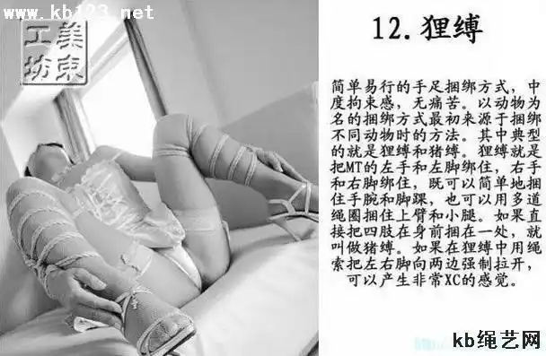 【转载】绳缚二十三式