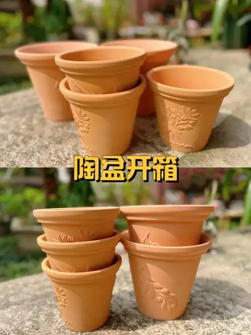 青山党的我最终还是入了陶盆原因是