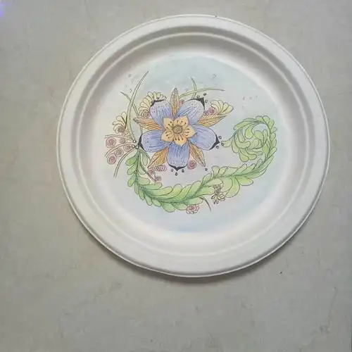 高二一班 圆盘设计画活动