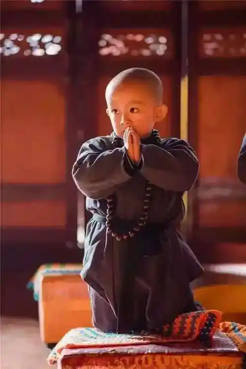 贵州银杏村的千年寺庙里, 藏着一群小和尚, 一不小心萌化全世界!