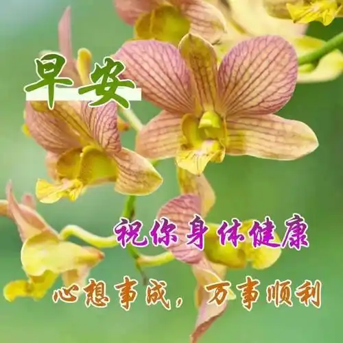 9张冬天清晨创意唯美亲人朋友早上好祝福语图片大全 冬日清晨友谊早安