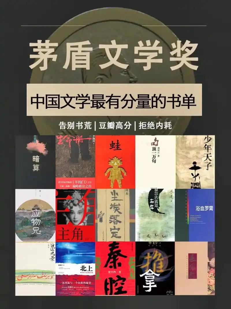 92《历届茅盾文学奖作品》  - 抖音