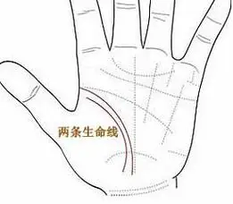两条生命线是什么意思