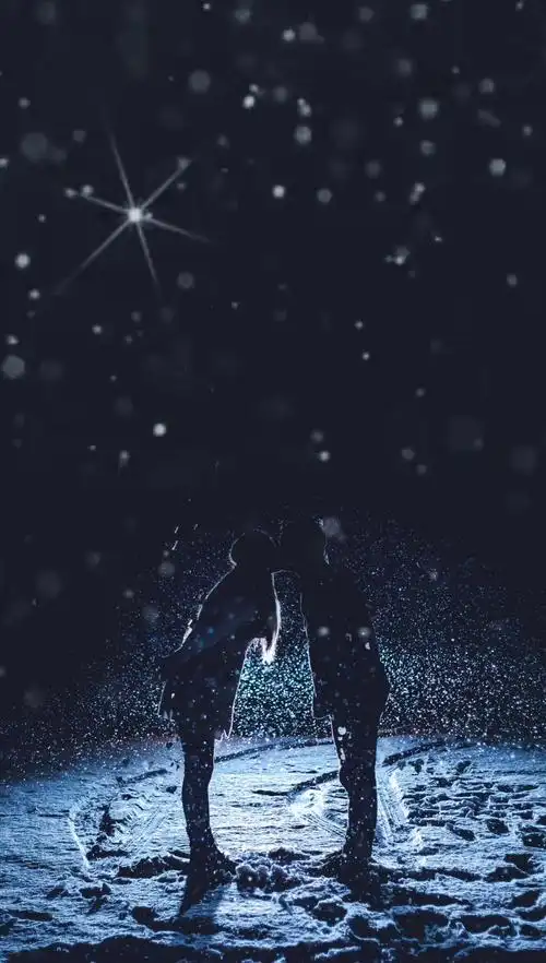 动态壁纸 星空下的情侣