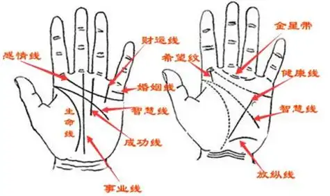 手相图解手相男怎么看 手相图解大全男