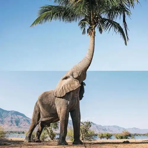 眼前一亮这些创意拼接照片实在太有趣了