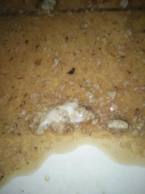 狗狗吐白色泡沬黏液,怎么回事?