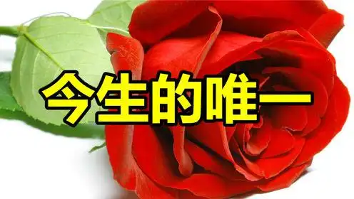 一曲《今生的唯一》致亲爱的你,今生今世只爱你