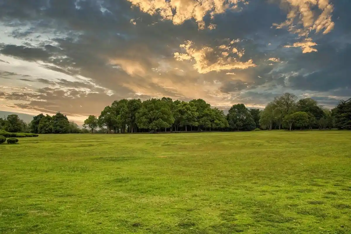 秋日风光#风景在路上 #摄影分享 #发现身边美好 - 抖音