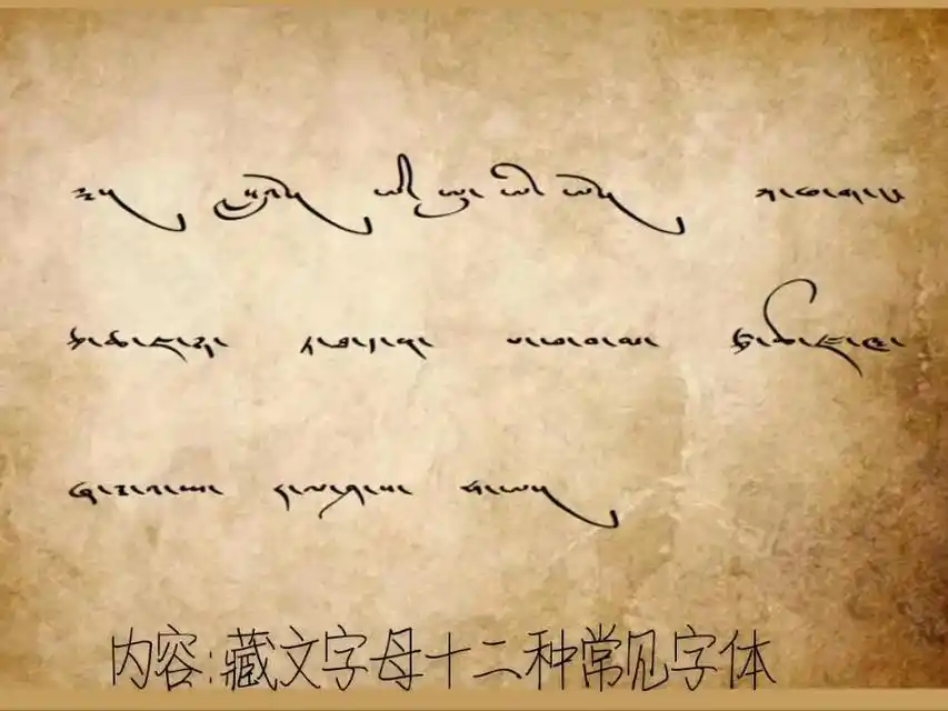 内容:藏文字母十二种常见字体,你们会写7199几种字体717171