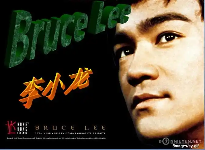 这是一个关于李小龙简介ppt素材,用英文详细的介绍了李小龙的基本资料