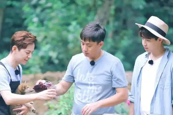 明星综艺真人秀类节目排行榜奔跑吧上榜第十最受欢迎