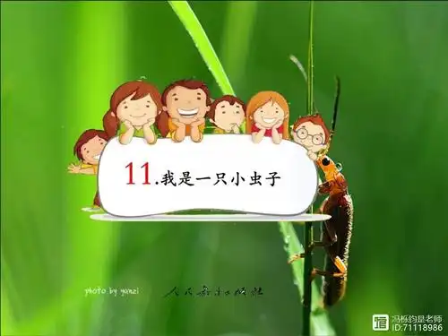 我是一只小虫子课堂实录及点评