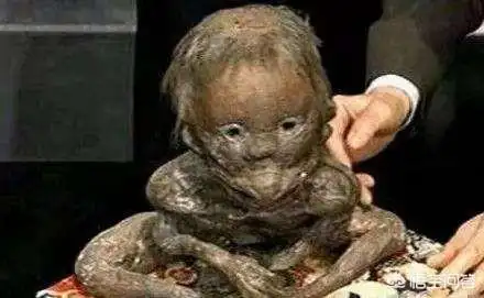 关于学生安全的责任书