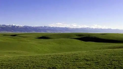 伊犁草原是中国四大草原之一.