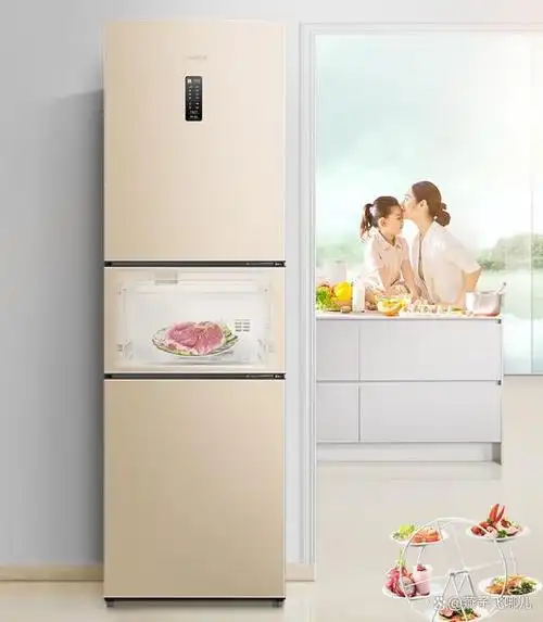 容声三门冰箱哪款好?容声三门冰箱bcd-221wd16ny评测推荐