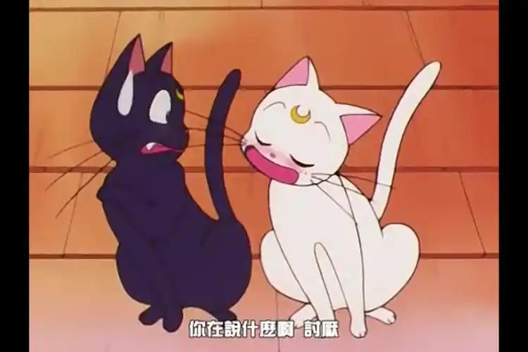 《美少女战士》 黑猫露娜和白猫亚提密斯 --两只猫完全不同性格呢.