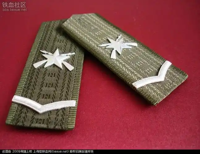 [原创]99式士官肩章鉴赏