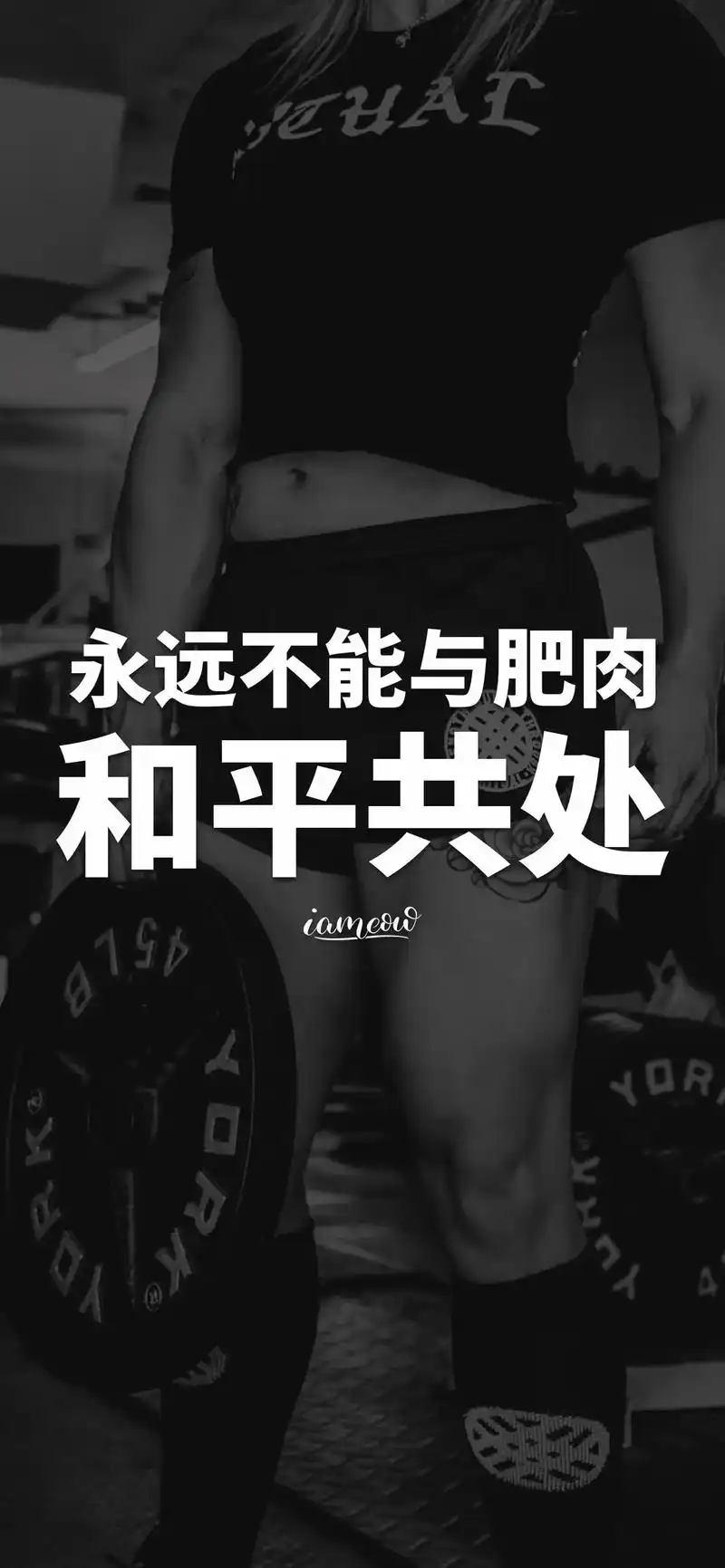 健身壁纸给大家.#自律的顶端就是享受孤独 #预防疫情多健身  - 抖音