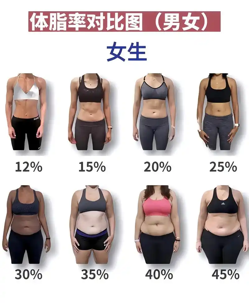 体脂率对比图男女你的体脂率是多少降低体脂率#减肥 #自律 # - 抖音