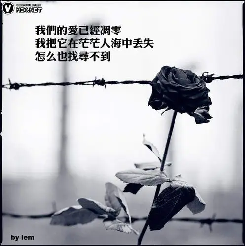 那时候特别流行去聊天室,在深圳那会还特别兴什么红线网,情网之类的!