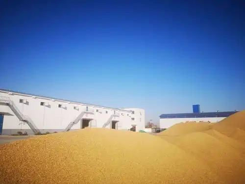 五万吨国家级标准化仓储库