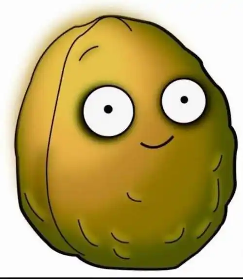 植物大战僵尸2四个坚果植物前两个能爆炸后两个血很很厚