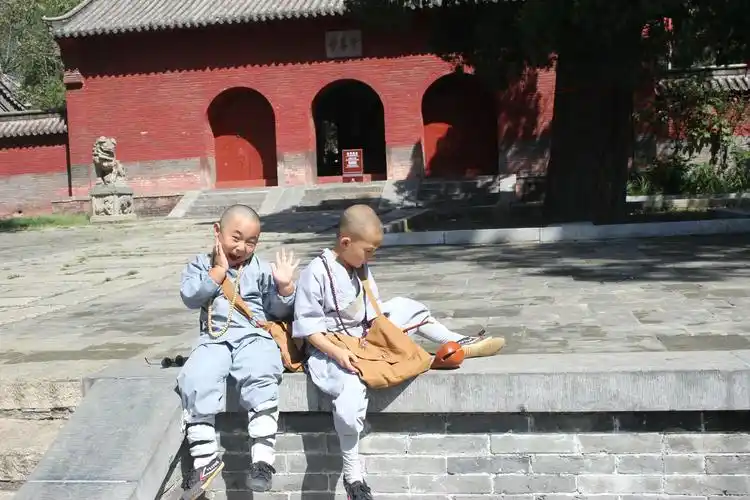 少林寺两小和尚走红 网友:释小龙郝劭文回来了!