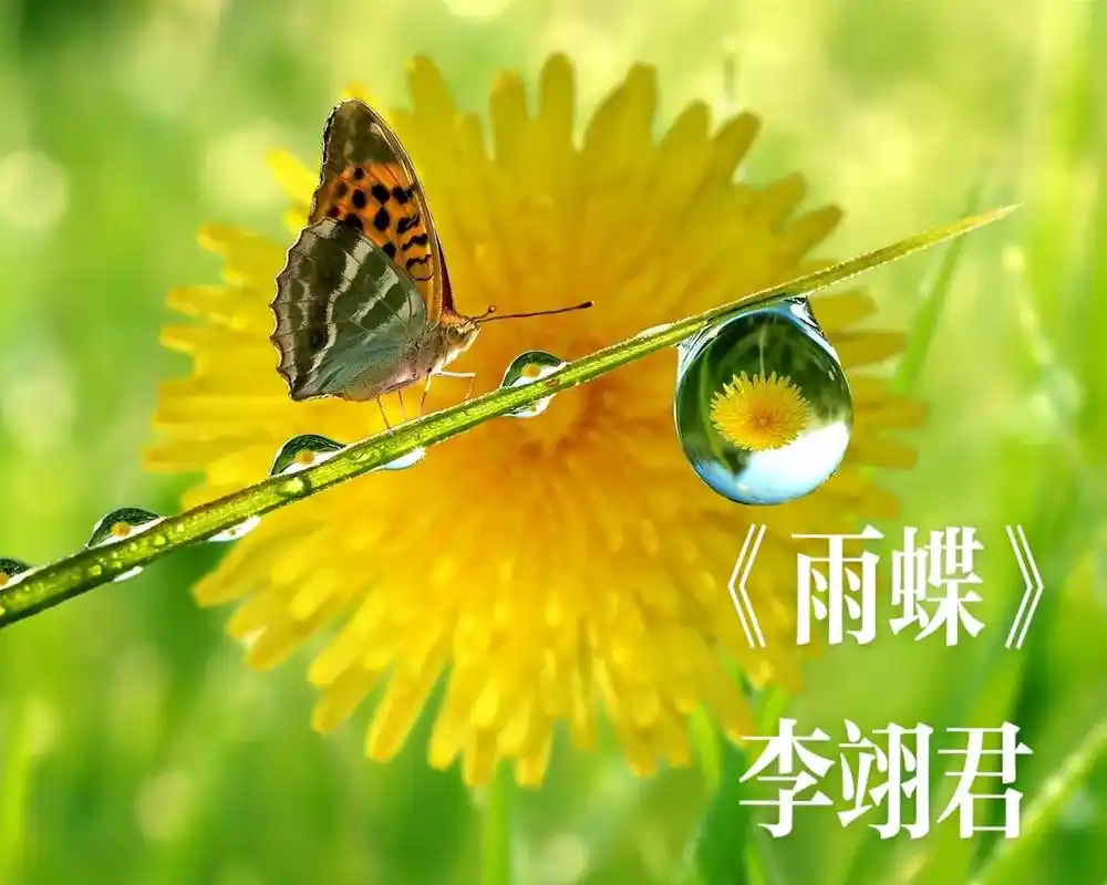 《还珠格格》主题曲《雨蝶》,前奏想起就让人心醉了!#李翊君 - 抖音