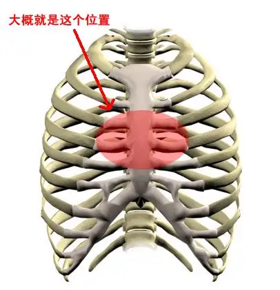胸口的骨头总是痛是怎么回事?