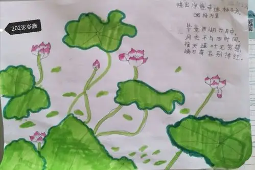 映日荷花别样红 ————八小二年级《晓出净慈寺送林子方》诗配画